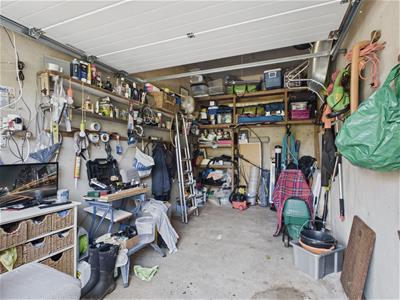 Picture 23